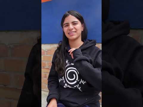 Bingo Bazar — En Vivo